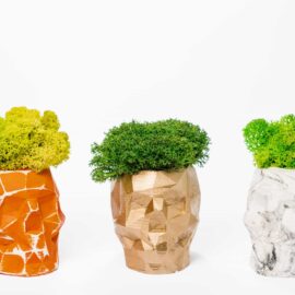 Váza v tvare 3d lebky s lišajníkom a rastlinami