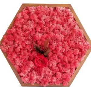 Hexagonales Moosbild mit rotem Islandmoos, roter Rose und braunem Holzrahmen (ca. 50 cm).