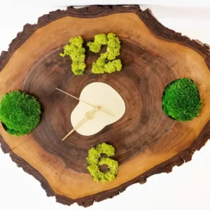 Wanduhr aus einer Baumscheibe mit Ziffern und Elementen aus Kugelmoos und Islandmoos