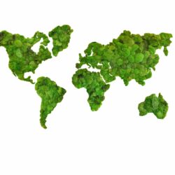 Mapa sveta z guľatého machu – kontinenty Mapa sveta z guľatého machu – kontinenty