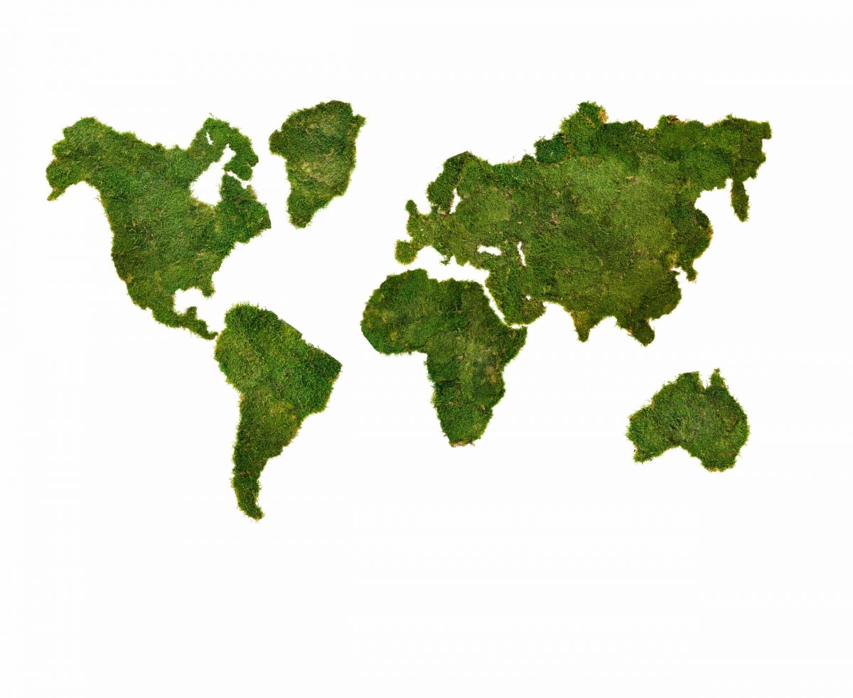 Mapa sveta z machu | ekomoss