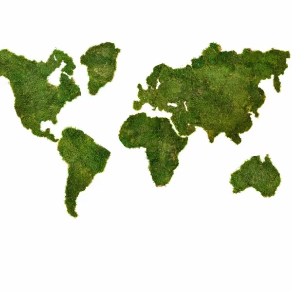 Mapa sveta z machu | Ekomoss