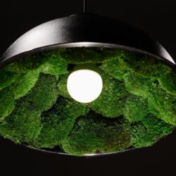Závesná lampa s guľatým machom | luster na lanku