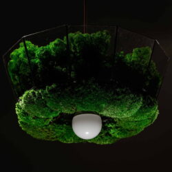 Závesná lampa s lišajníkom a guľatý mach | luster na lanku