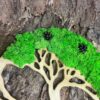 Moosbaum mit Islandmoos und Zapfen. Baum des Lebens
