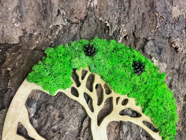 Moosbaum mit Islandmoos und Zapfen. Baum des Lebens