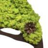 Moosbaum mit Islandmoos und Zapfen. Baum des Lebens