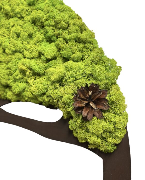 Moosbaum mit Islandmoos und Zapfen. Baum des Lebens