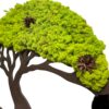 Moosbaum mit Islandmoos und Zapfen. Baum des Lebens