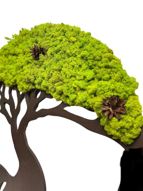 Moosbaum mit Islandmoos und Zapfen. Baum des Lebens