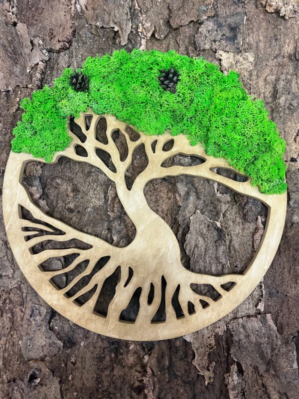 Moosbaum mit Islandmoos und Zapfen. Baum des Lebens