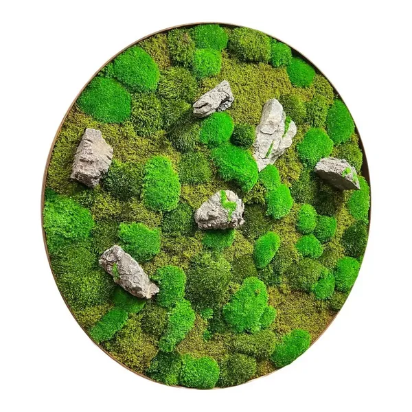 1E78F80E-85C6-4953-AFBB-977949261C9F_1_201_a-1200x1200_result Runde Moosbild mit Moos und Stein