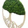 Moosbaum mit Kugelmoos. Baum des Lebens