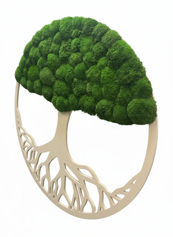 Moosbaum mit Kugelmoos. Baum des Lebens