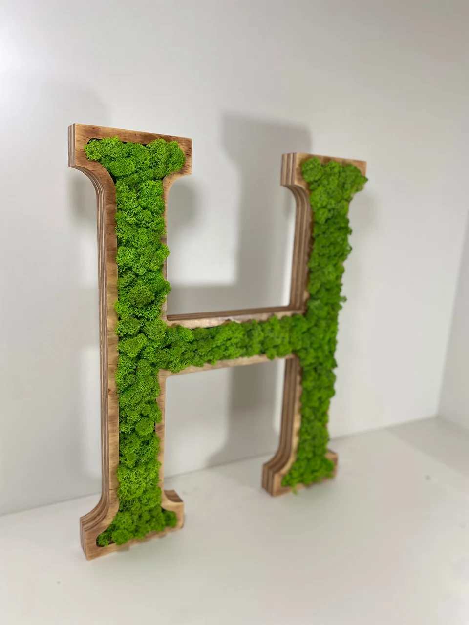 IMG_5819_result 3D Holzbuchstaben für Logo aus Islandmoos