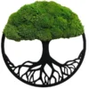 Moosbaum mit Kugelmoos - Baum des Lebens, Wandbild mit stabilisiertem Moos in rundem Rahmen.