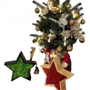 Vianočná Hviezda vyrobená z Dreva a Lišajníka