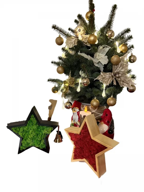 Vianočná hviezda vyrobená z dreva a lišajníka