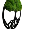 Moosbaum mit Kugelmoos. Baum des Lebens