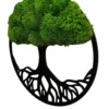 Moosbaum mit Kugelmoos. Baum des Lebens