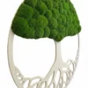 Moosbaum mit Kugelmoos. Baum des Lebens
