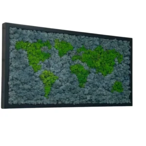 Moosbild Weltkarte aus Islandmoos in Rahmen