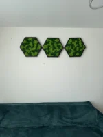 Hexagon Dekoratívny Machový Obraz s Lišajníkom