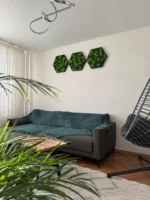 Hexagon Dekoratívny Machový Obraz s Lišajníkom