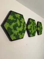 Hexagon Dekoratívny Machový Obraz s Lišajníkom