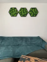 Hexagon Dekoratívny Machový Obraz s Lišajníkom