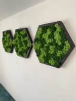 Hexagon Dekoratívny Machový Obraz s Lišajníkom