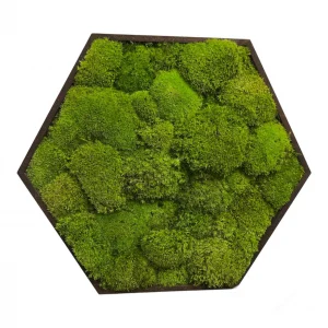 Hexagon Machový Obraz s Guľatým machem