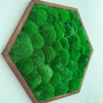 Hexagon Machový Obraz s Guľatým machem