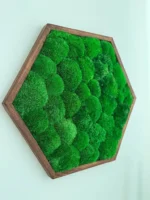 Hexagon Machový Obraz s Guľatým machem