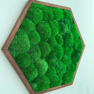 Hexagon Machový Obraz s Guľatým machem