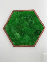 Hexagon Machový Obraz s Guľatým machem