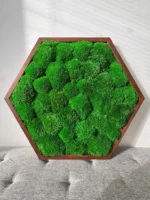 Hexagon Machový Obraz s Guľatým machem