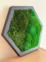 Hexagon Machový Obraz s Guľatým a Sibírskym machem