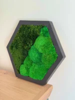Hexagon Machový Obraz s Guľatým a Sibírskym machem