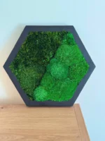 Hexagon Machový Obraz s Guľatým a Sibírskym machem