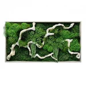 Dekoratívny Machový Obraz s Drevom a Rastlinami