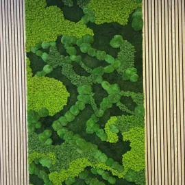 Machova stena - design: Farebná zmes machov