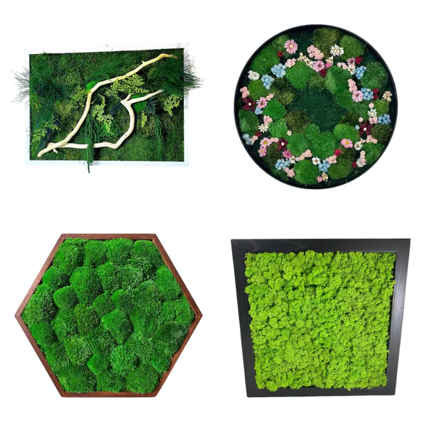 Moss art COLLAGE_result Machové obrazy na stenu na mieru