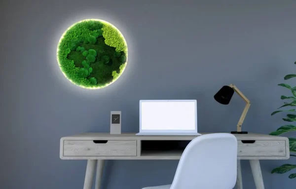 Machový Obraz Kruh s LED Podsvietením – Mix Machov