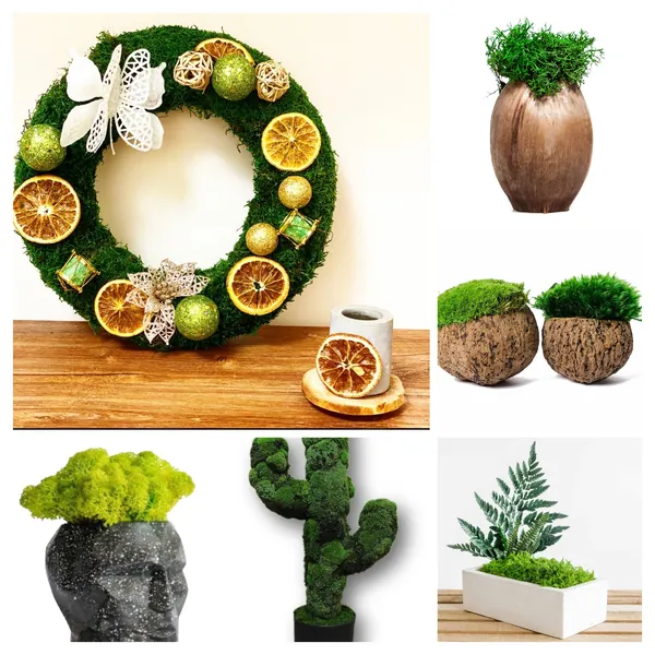 Deco with Moss-COLLAGE_result category products - machove dekoracie
