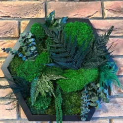 Hexagonálny obraz z machu a rastlín