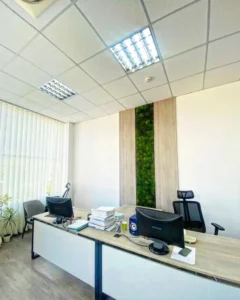 fotografie práce s machovými dekoráciami pre B2B od Ekomoss