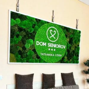 fotografie práce s machovými dekoráciami pre B2B od Ekomoss