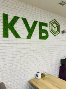 fotografie práce s machovými dekoráciami pre B2B od Ekomoss