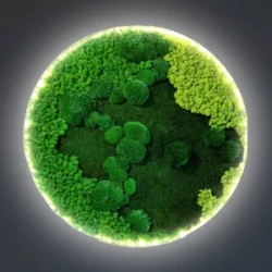 Category icon - Okrúhle Machové Obrazy